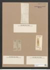 Pleurosigma naviculaceum Breb. (de-Toni-Nr.: Genus 13, Species 1003) Zeichnungen Sammlung Grunow Nr. 2032 (NHMW-BOT-W0368885)